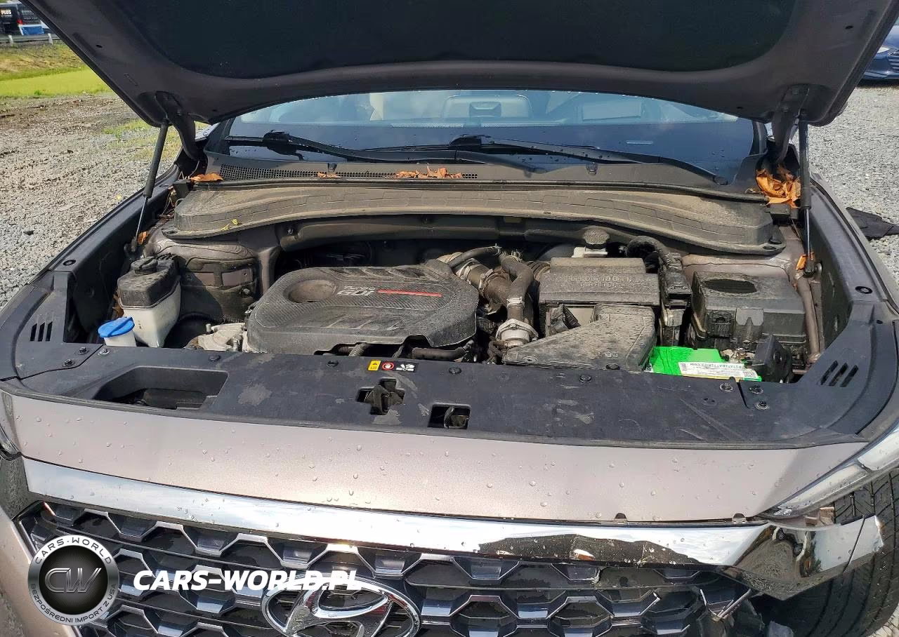 2020 Hyundai Santa Fe Limited 2.0T VIN:5NMS5CAA4LH255418 - 12