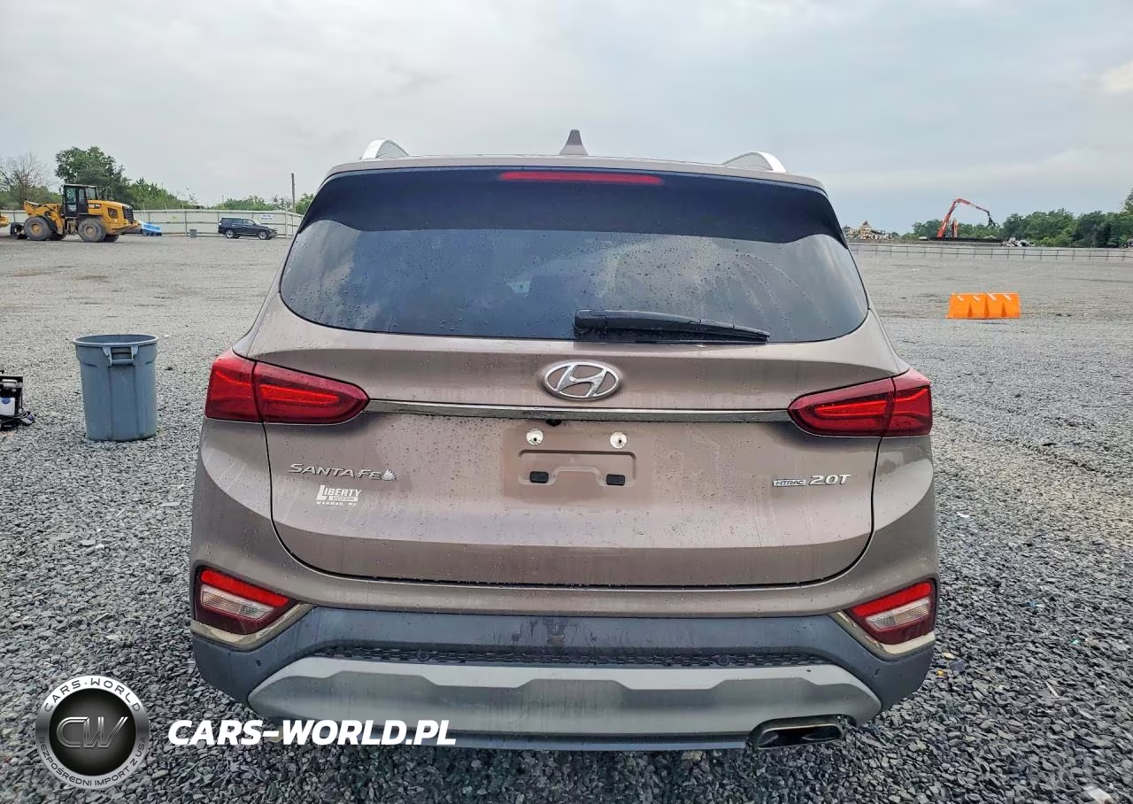 2020 Hyundai Santa Fe Limited 2.0T VIN:5NMS5CAA4LH255418 - 6