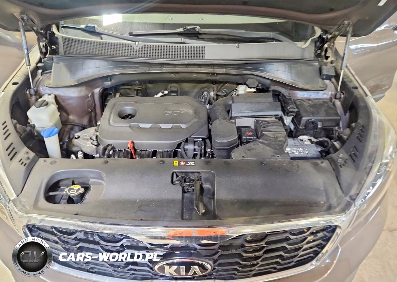 2019 Kia Sorento Lx VIN:5XYPG4A30KG561239 - 12