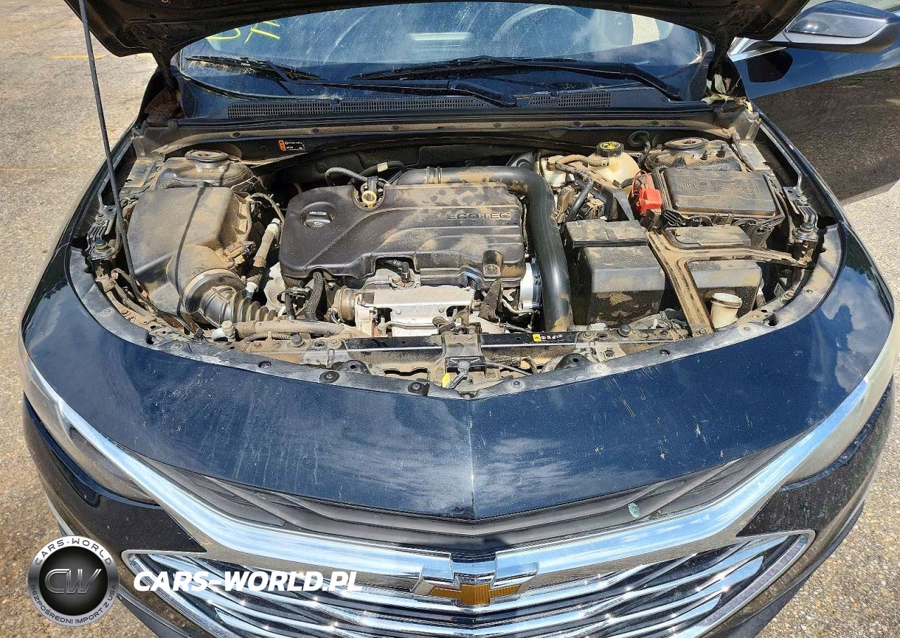 2019 Chevrolet Malibu Lt VIN:1G1ZD5ST0KF106683 - 11