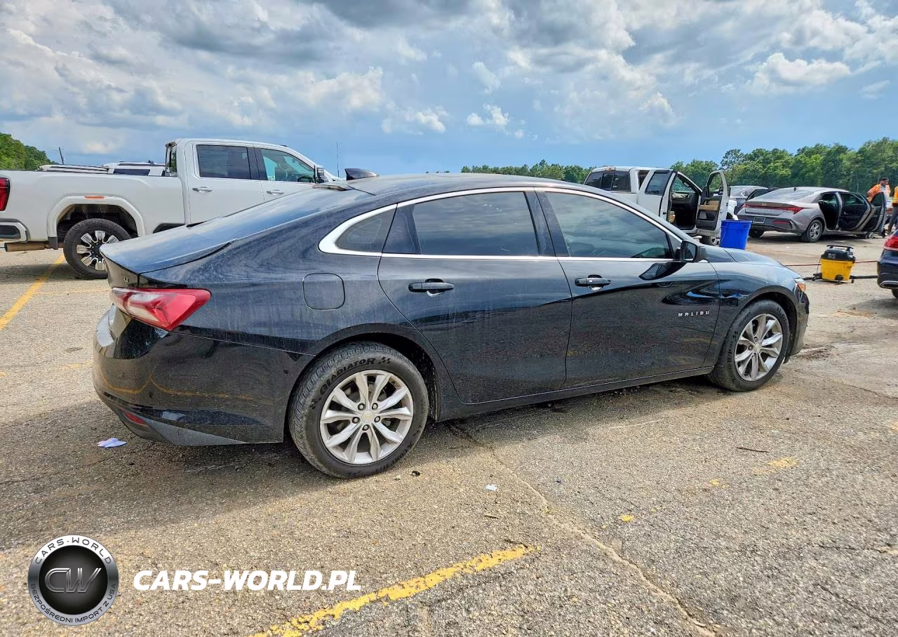 2019 Chevrolet Malibu Lt VIN:1G1ZD5ST0KF106683 - 3