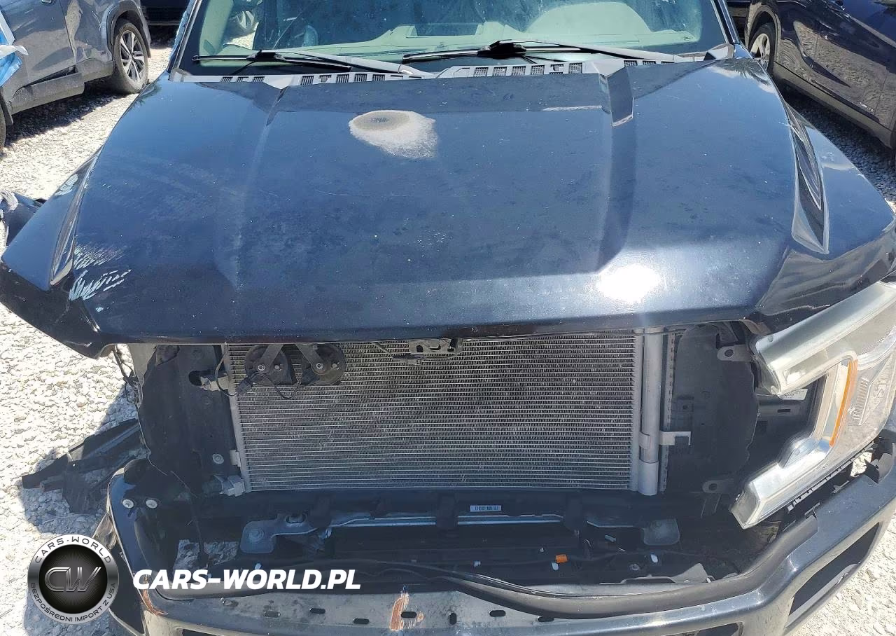 2020 Ford F150 Supercrew VIN:1FTEW1EP9LKD22984 - 11