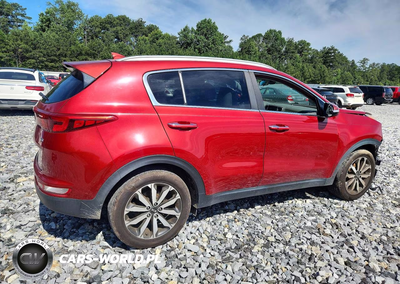 2019 Kia Sportage Ex VIN:KNDPN3AC6K7577314 - 3
