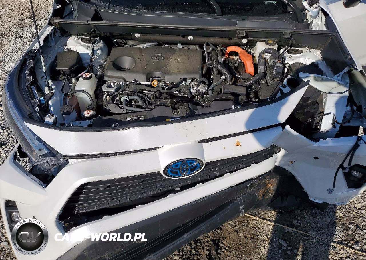 2024 Toyota Rav4 Xle Premium VIN:4T3B6RFV2RU140591 - 12