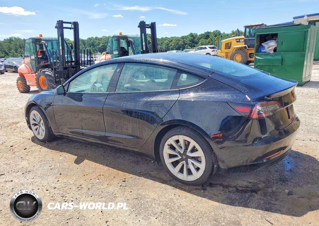 2023 Tesla Model 3 VIN:5YJ3E1EA5PF430303 - 2