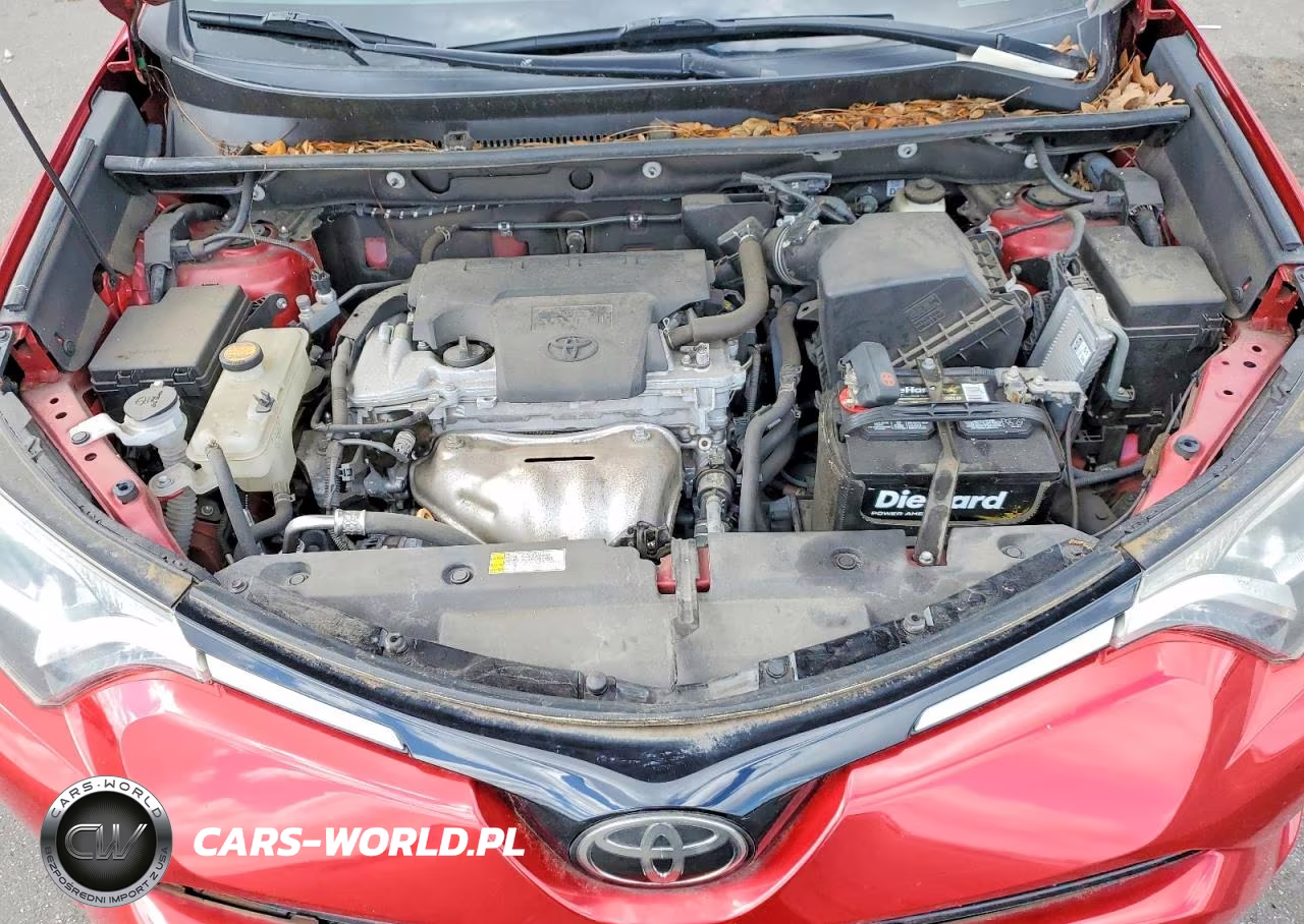 2017 Toyota Rav4 Xle VIN:2T3WFREV7HW373514 - 11