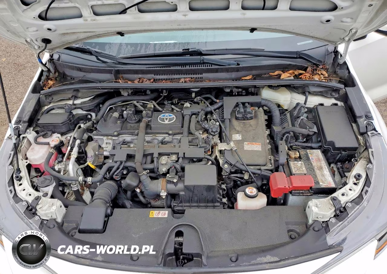 2021 Toyota Corolla Le VIN:JTDEAMDE6MJ011178 - 11