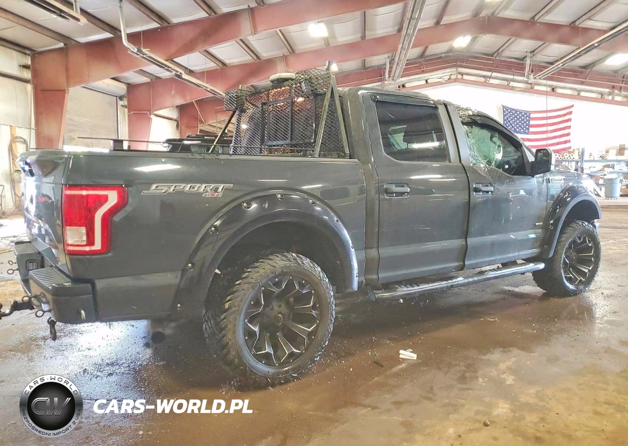 2016 Ford F150 Supercrew VIN:1FTEW1EP1GFC29598 - 3