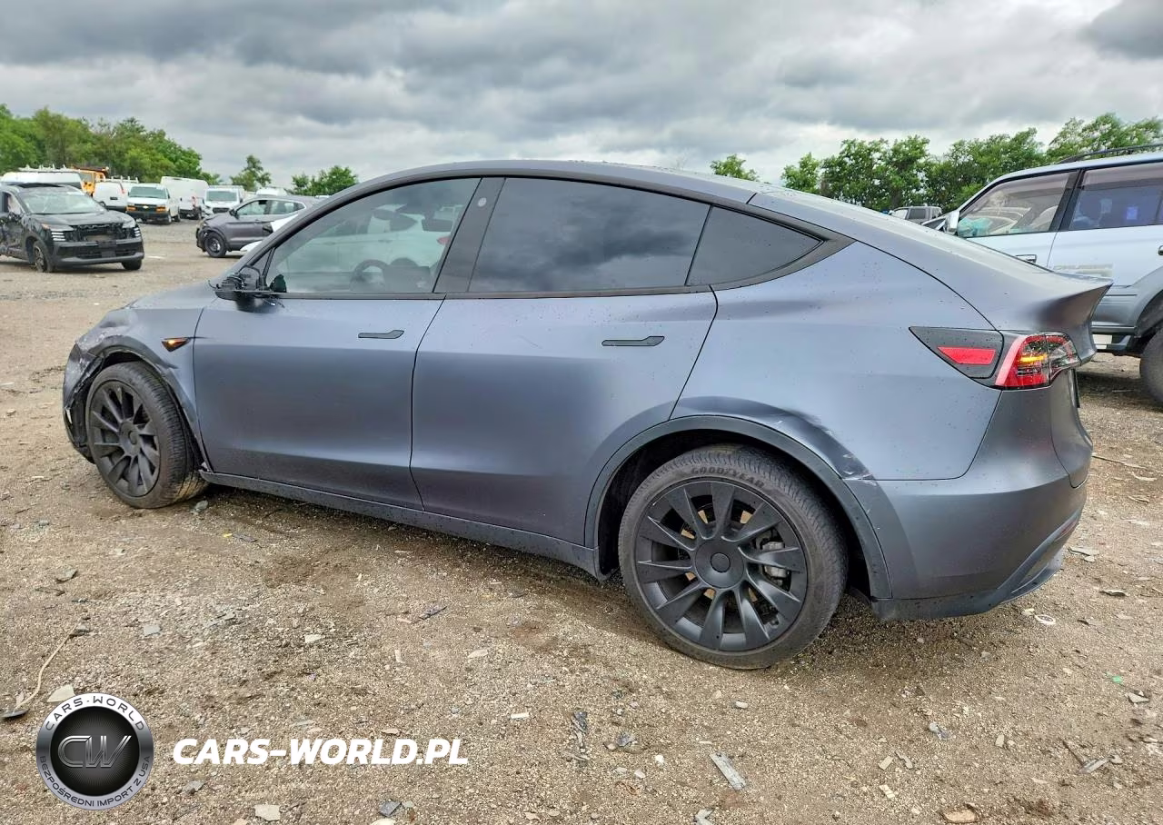 2023 Tesla Model Y VIN:7SAYGDEE3PF614162 - 2