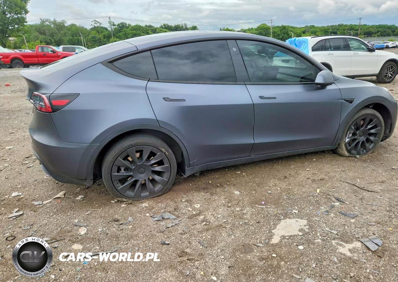 2023 Tesla Model Y VIN:7SAYGDEE3PF614162 - 3