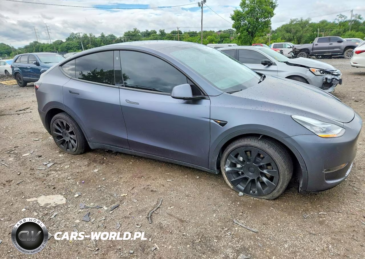 2023 Tesla Model Y VIN:7SAYGDEE3PF614162 - 4