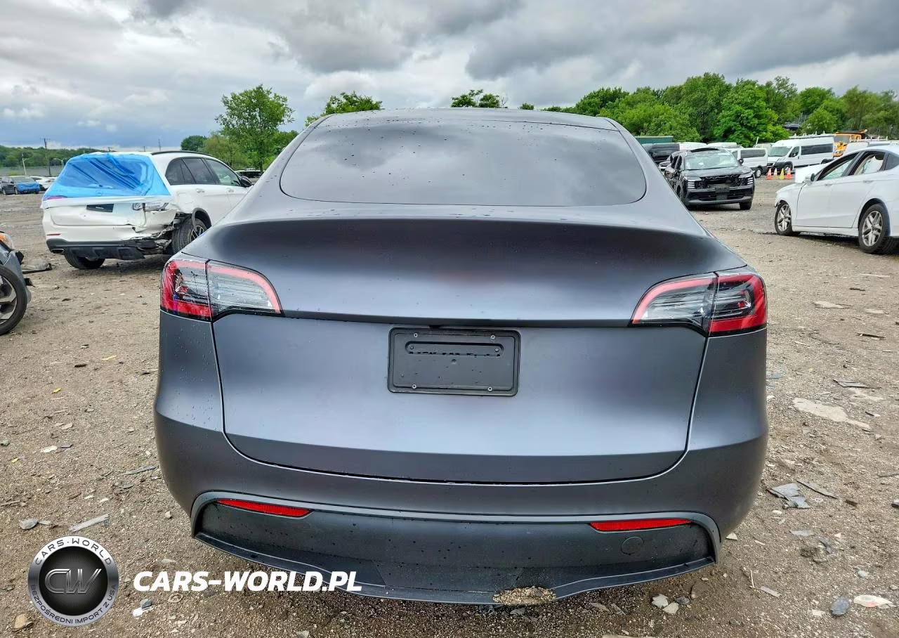 2023 Tesla Model Y VIN:7SAYGDEE3PF614162 - 6