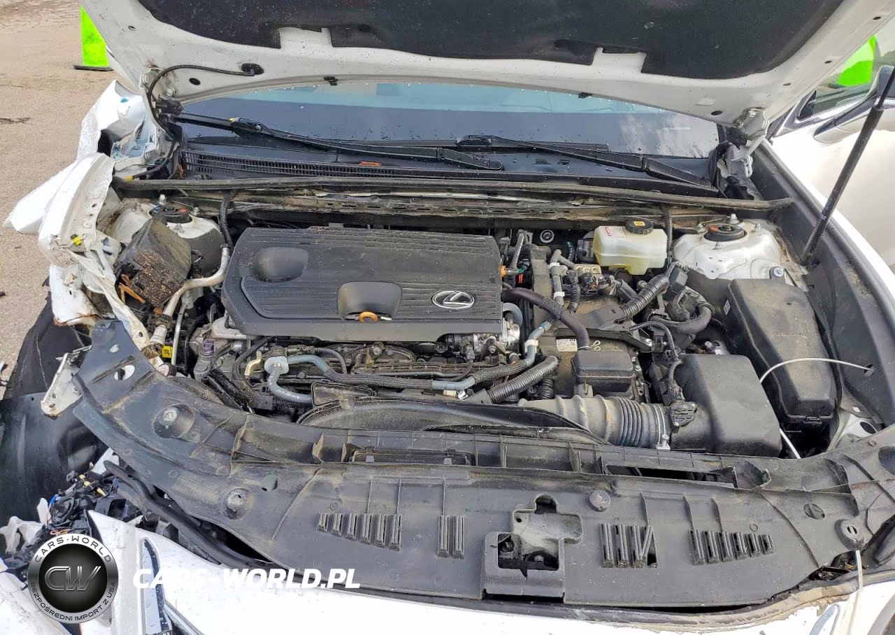 2022 Lexus Es 300H Ultra Luxury VIN:58AFA1C14NU019480 - 11