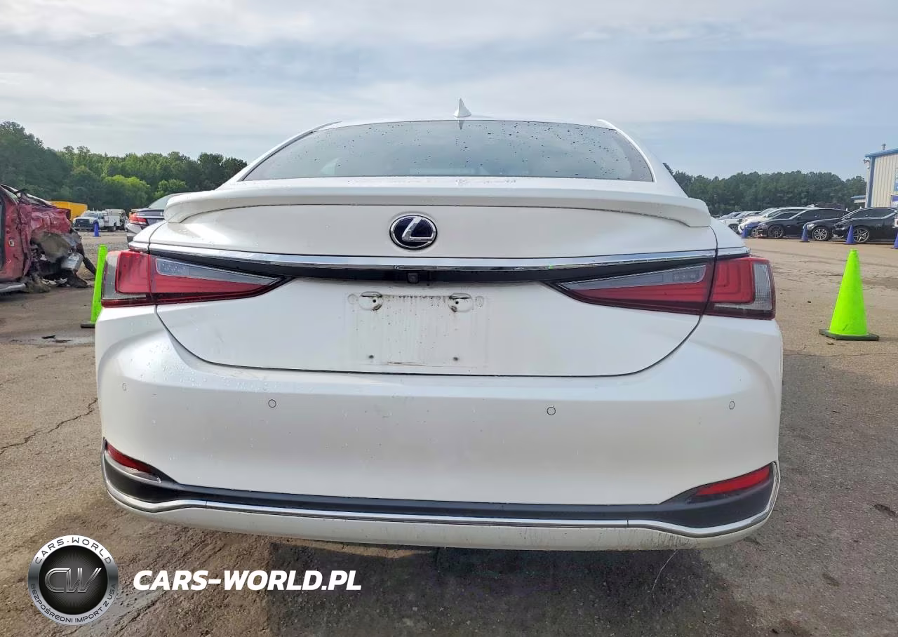 2022 Lexus Es 300H Ultra Luxury VIN:58AFA1C14NU019480 - 6