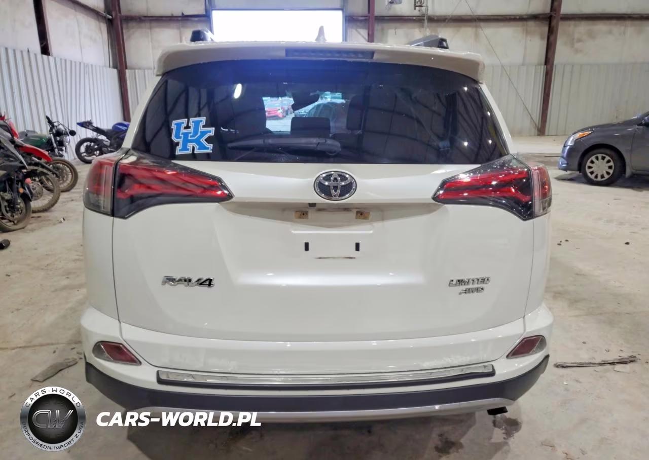 2018 Toyota Rav4 Limited VIN:JTMDFREV2JJ231406 - 6