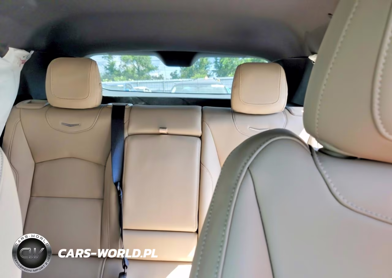 2025 Cadillac Xt4 Premium Luxury VIN:1GYFZCR4XSF159559 - 10