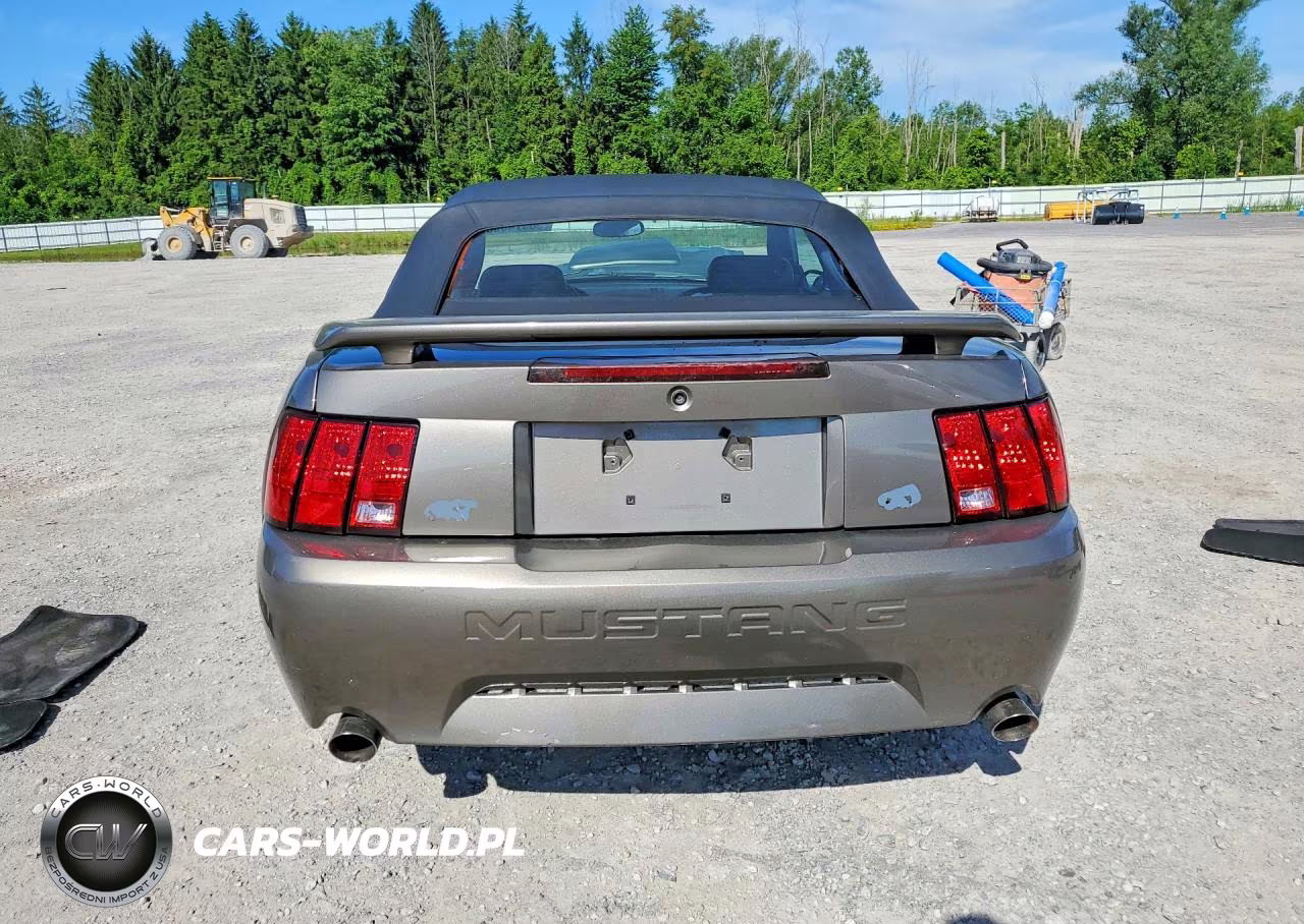 2002 Ford Mustang Gt VIN:1FAFP45XX2F132854 - 6