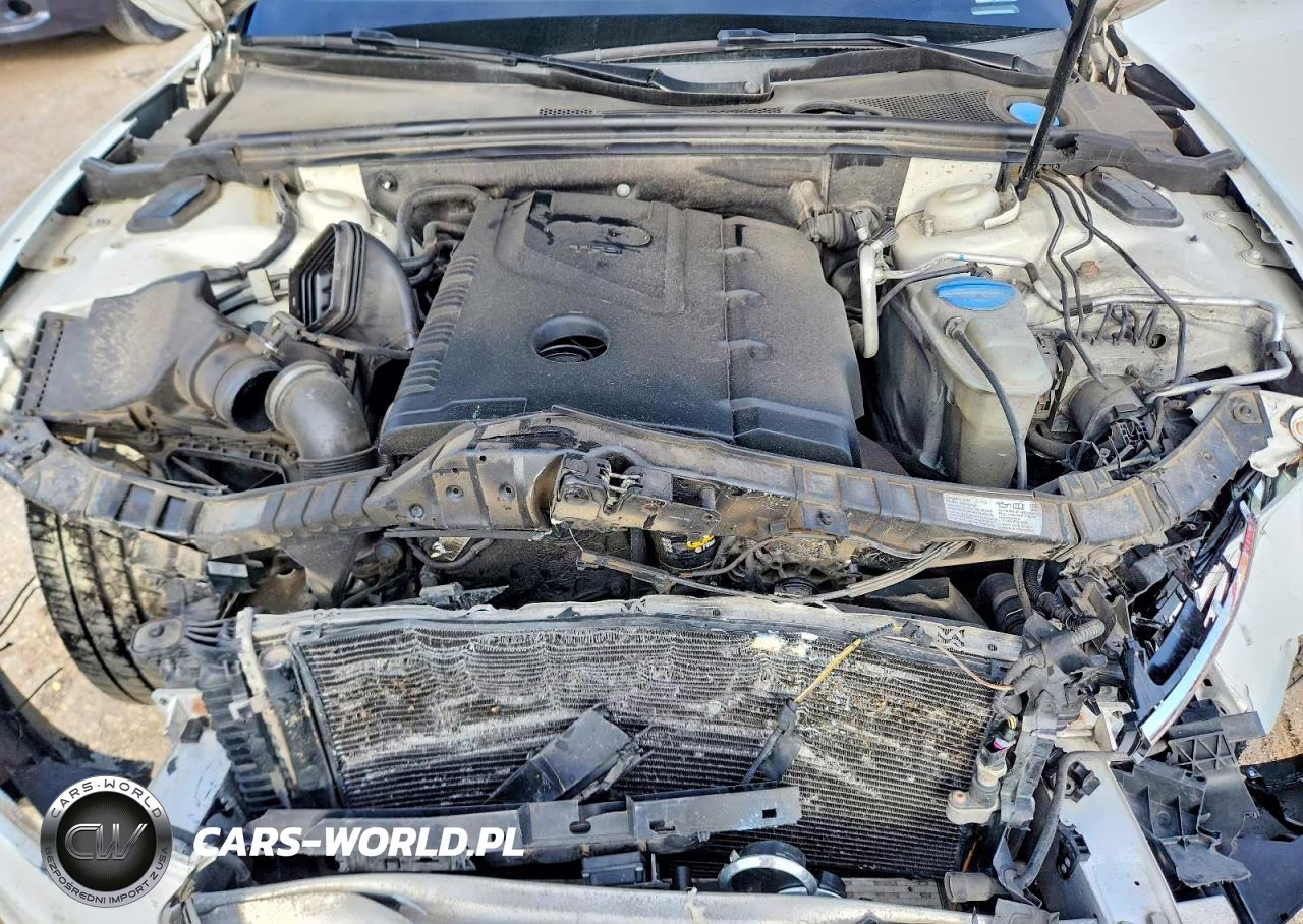 2013 Audi A5 Premium Plus VIN:WAULFAFH3DN015614 - 11