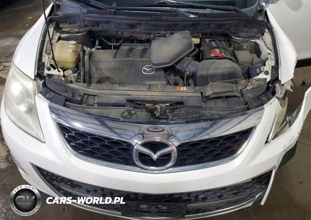 2011 Mazda Cx-9 VIN:JM3TB3DA7B0312290 - 12
