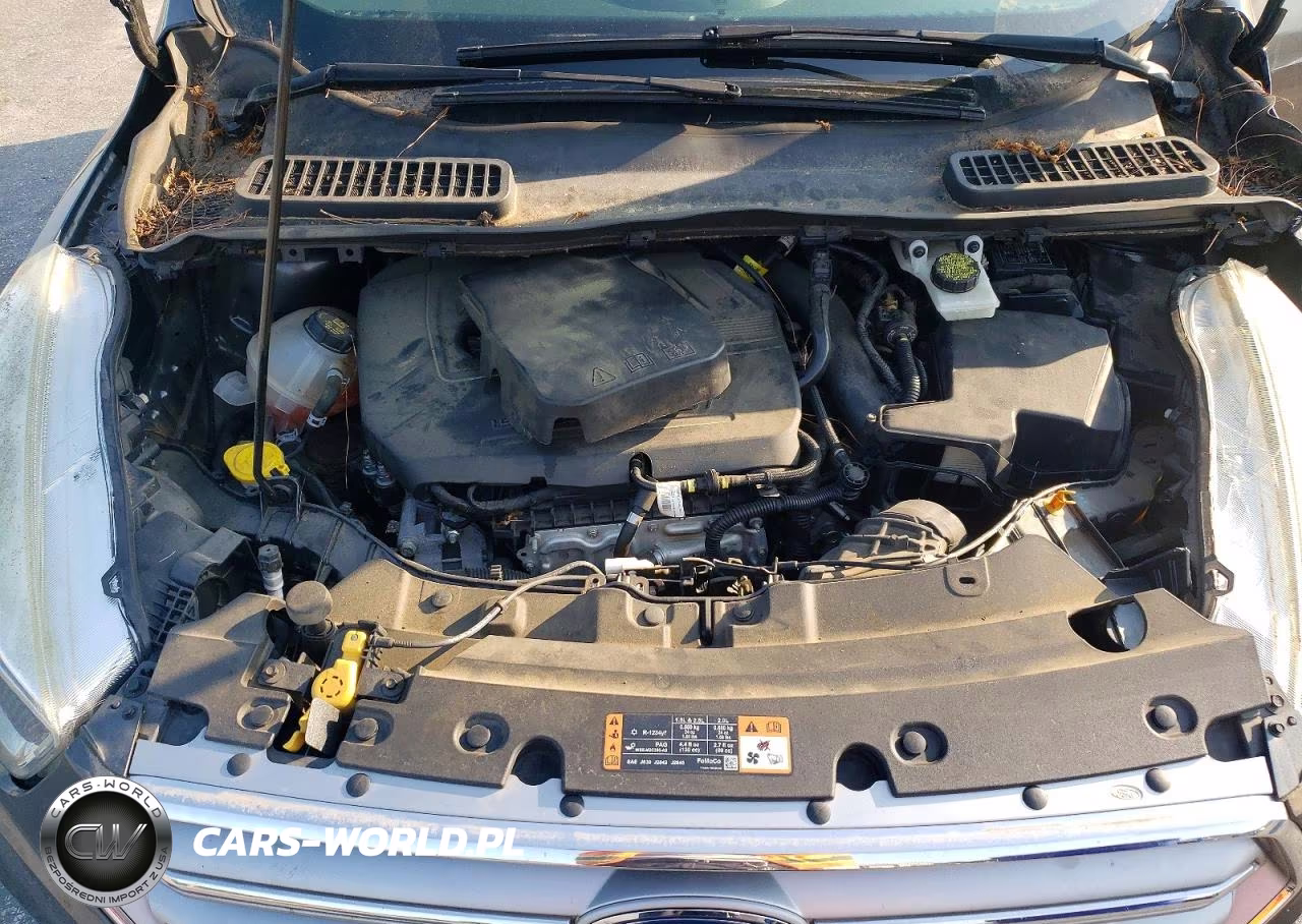 2017 Ford Escape Se VIN:1FMCU0GD6HUA88174 - 12