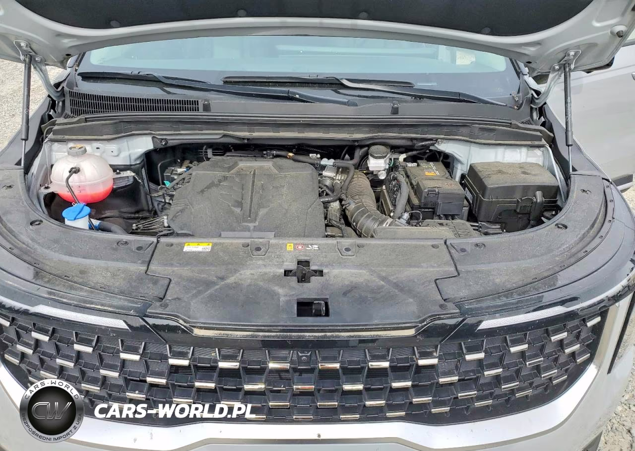 2025 Kia Carnival Sx VIN:KNDNE5K35S6470634 - 12