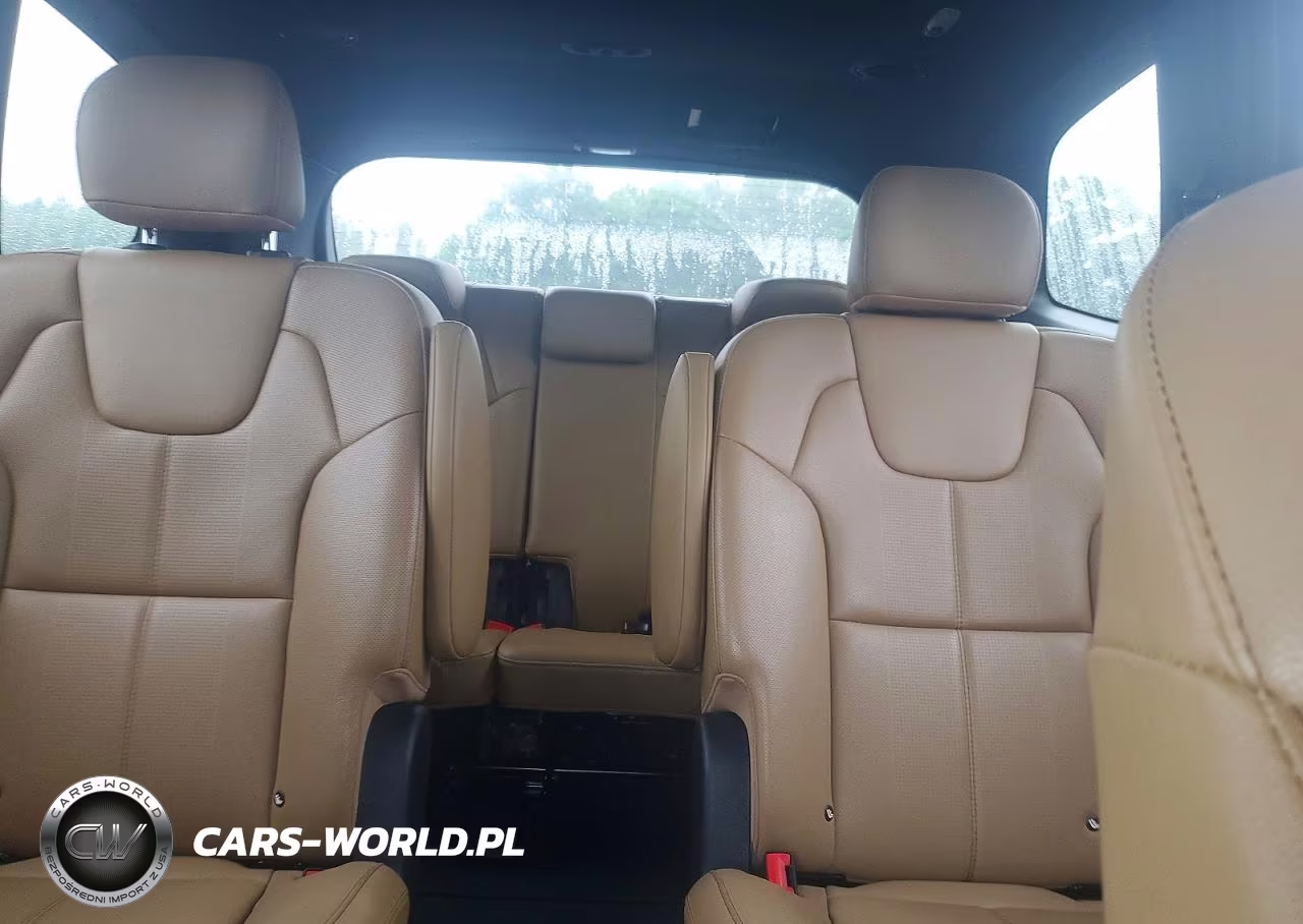 2020 Kia Telluride Sx VIN:5XYP5DHC4LG020904 - 10