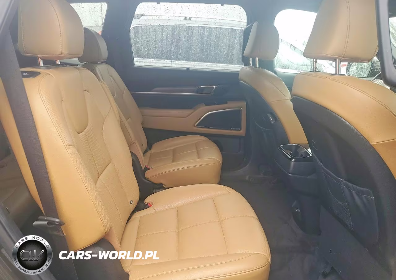 2020 Kia Telluride Sx VIN:5XYP5DHC4LG020904 - 11