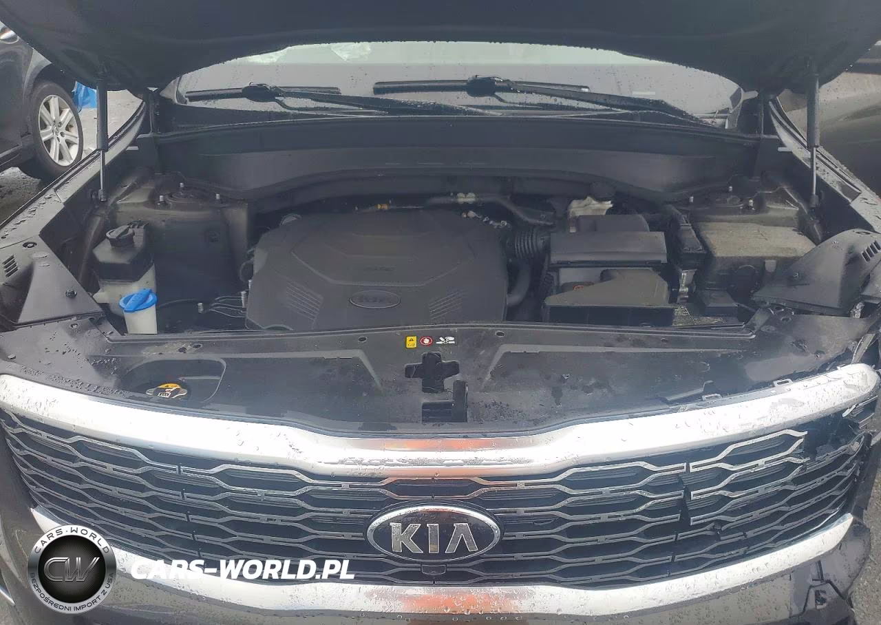 2020 Kia Telluride Sx VIN:5XYP5DHC4LG020904 - 12