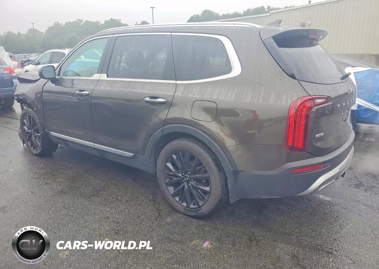 2020 Kia Telluride Sx VIN:5XYP5DHC4LG020904 - 2