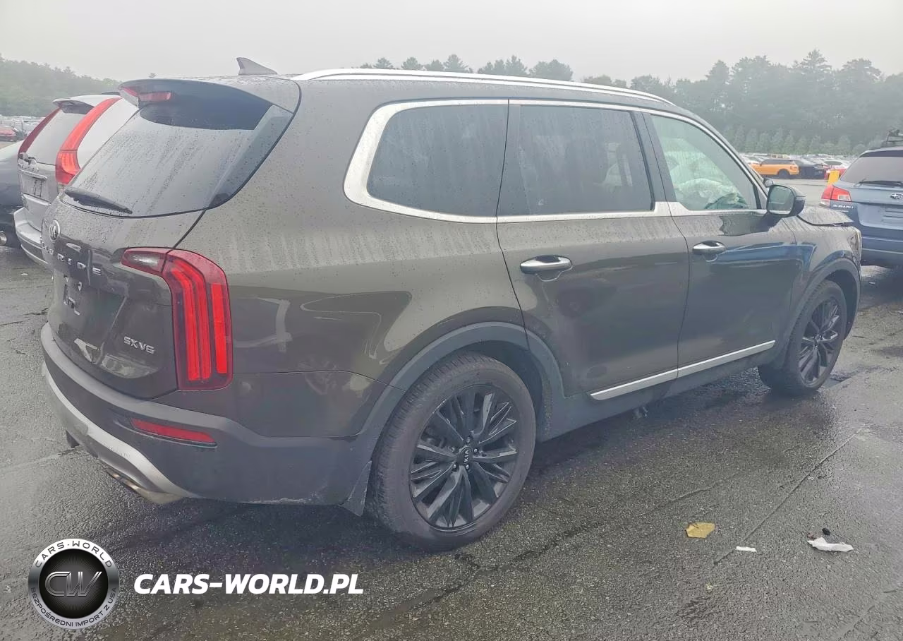 2020 Kia Telluride Sx VIN:5XYP5DHC4LG020904 - 3