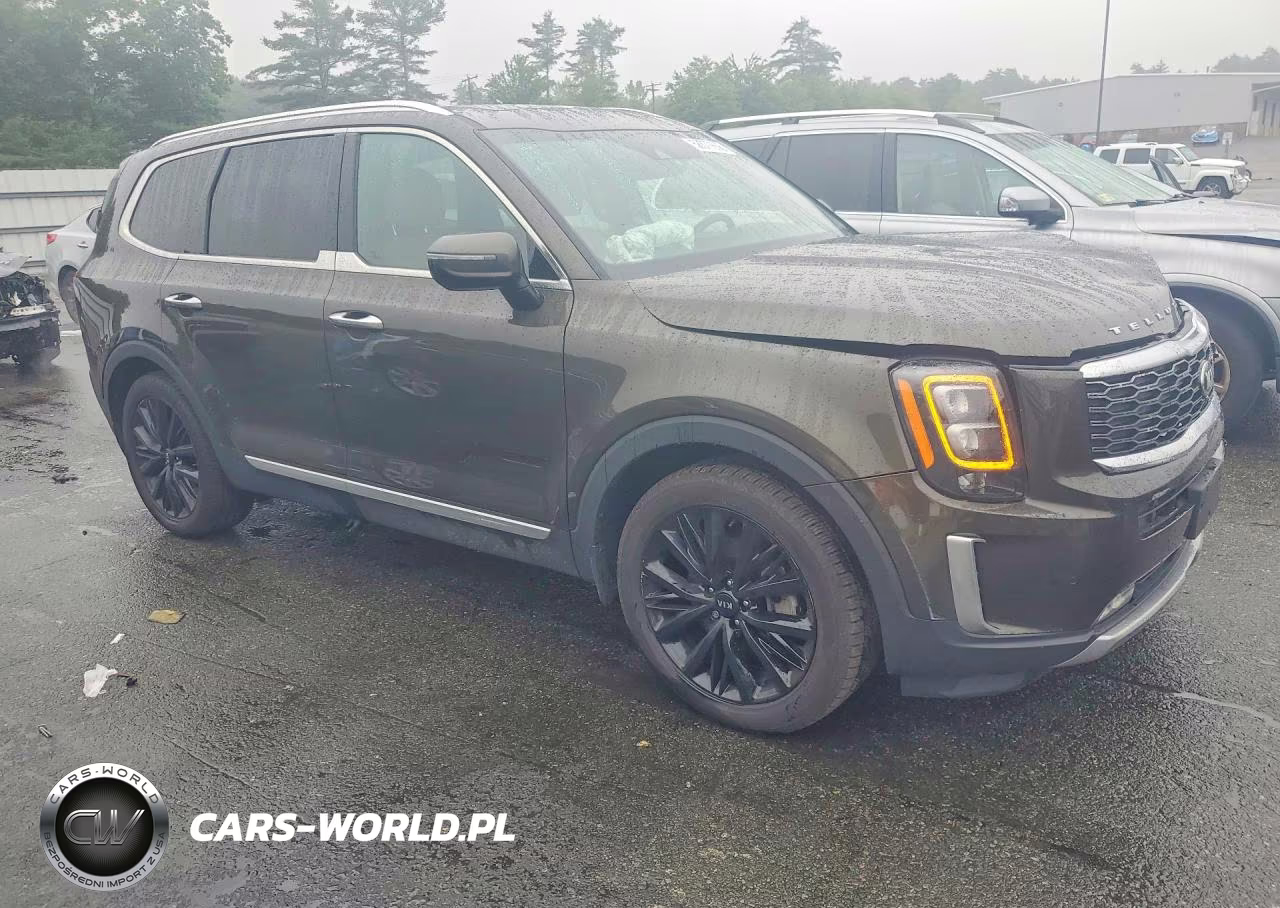 2020 Kia Telluride Sx VIN:5XYP5DHC4LG020904 - 4