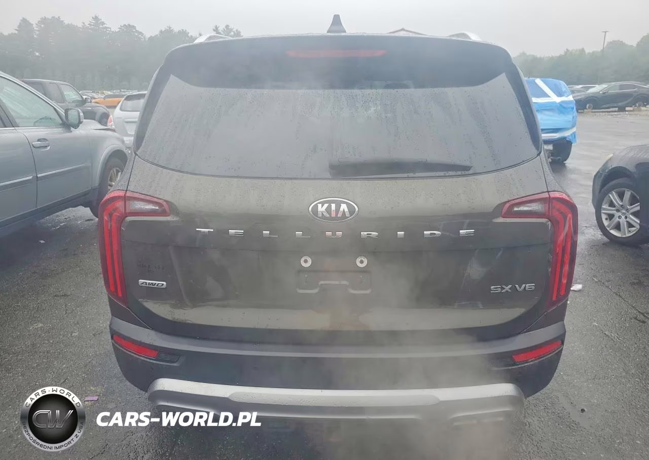 2020 Kia Telluride Sx VIN:5XYP5DHC4LG020904 - 6