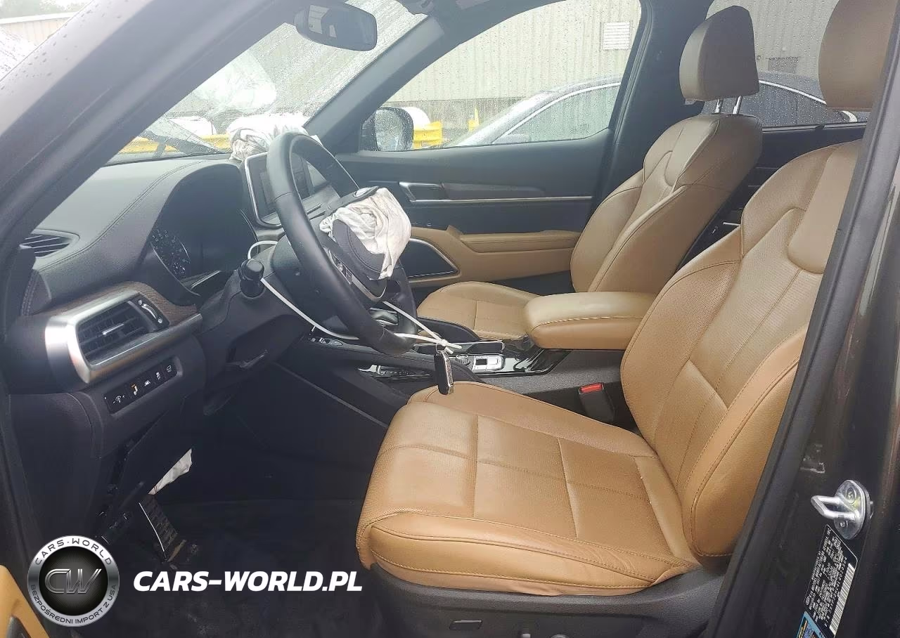 2020 Kia Telluride Sx VIN:5XYP5DHC4LG020904 - 7