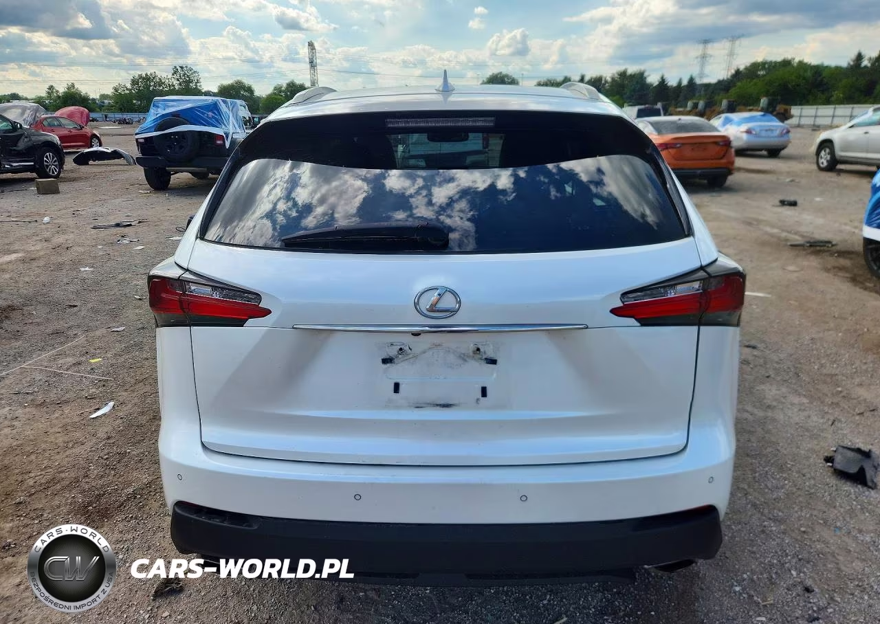 2016 Lexus Nx 200T Base VIN:JTJBARBZ0G2059776 - 6