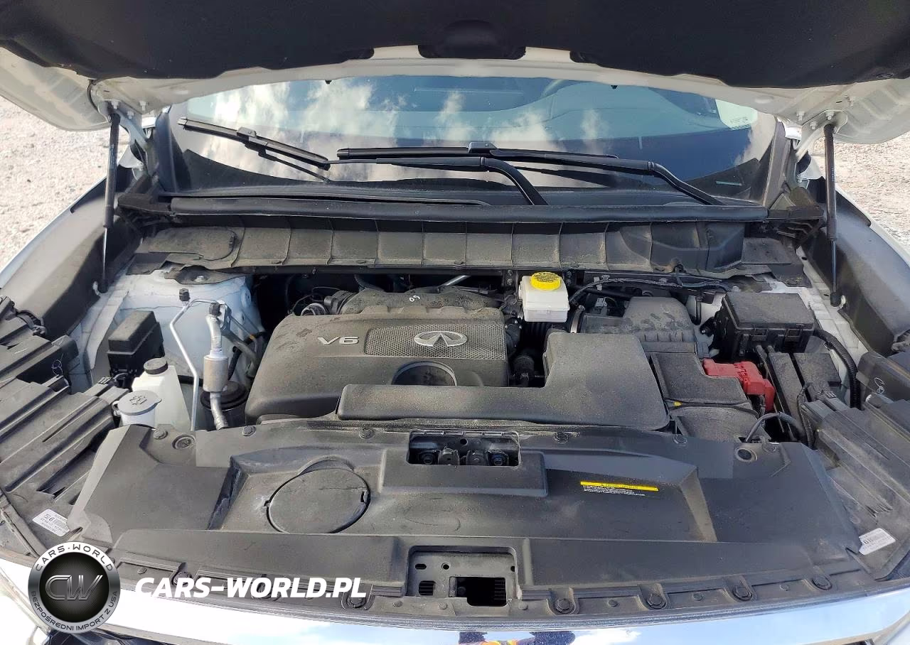 2024 Infiniti Qx60 Luxe VIN:5N1DL1FR9RC350593 - 12