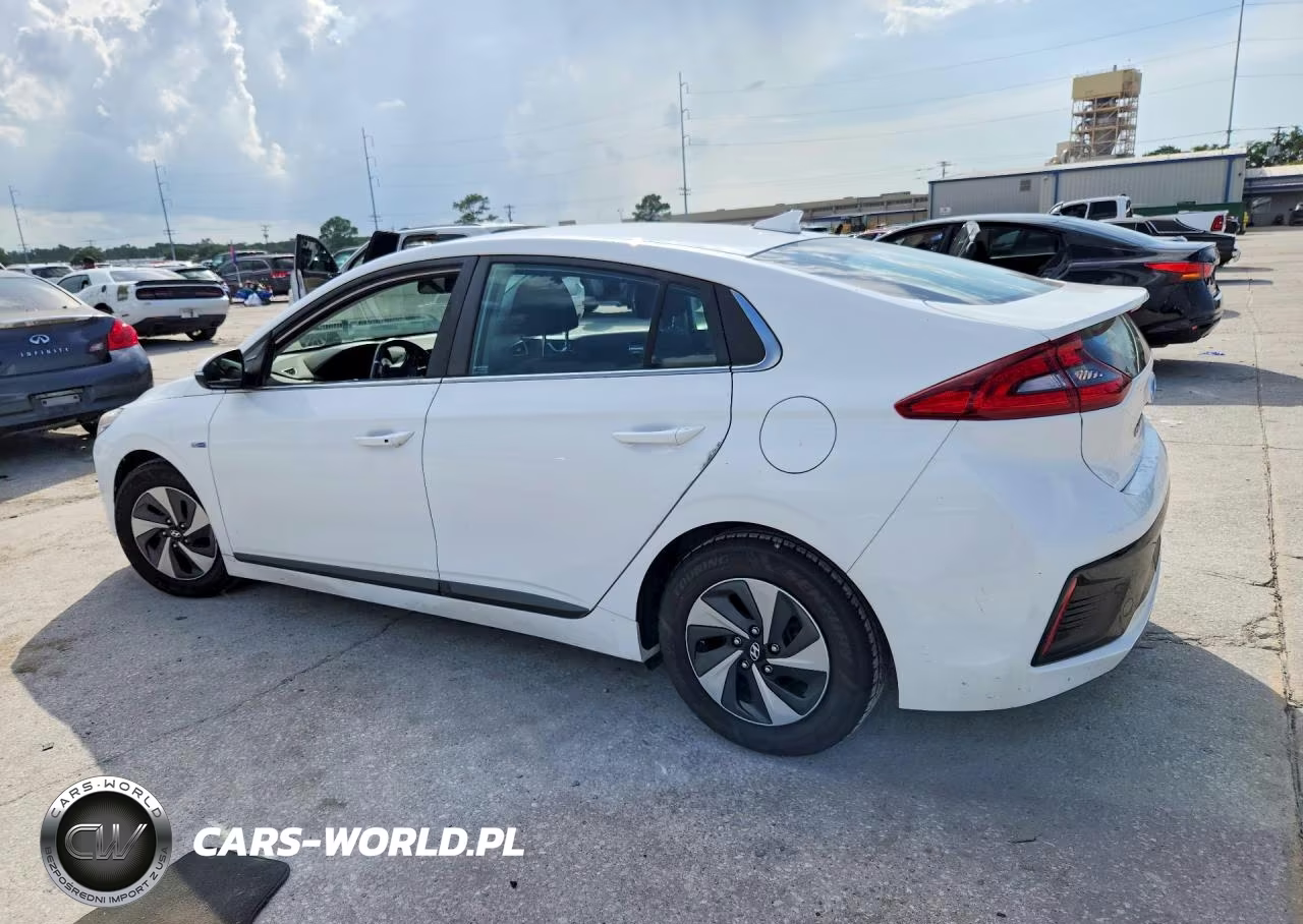2019 Hyundai Ioniq Sel VIN:KMHC75LC7KU145166 - 2