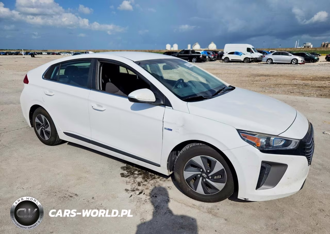 2019 Hyundai Ioniq Sel VIN:KMHC75LC7KU145166 - 4