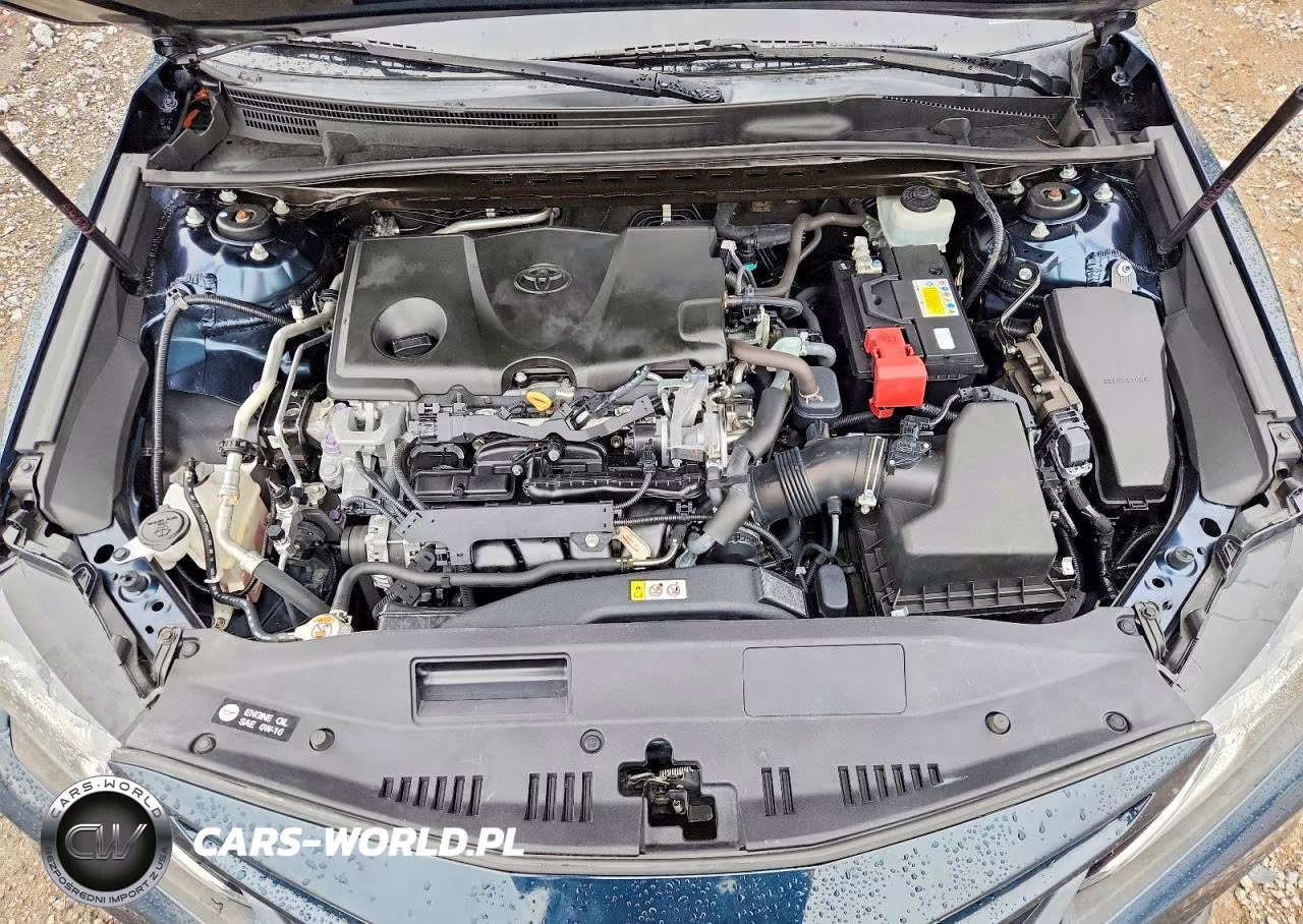 2020 Toyota Camry Se VIN:4T1G11AK6LU335838 - 11