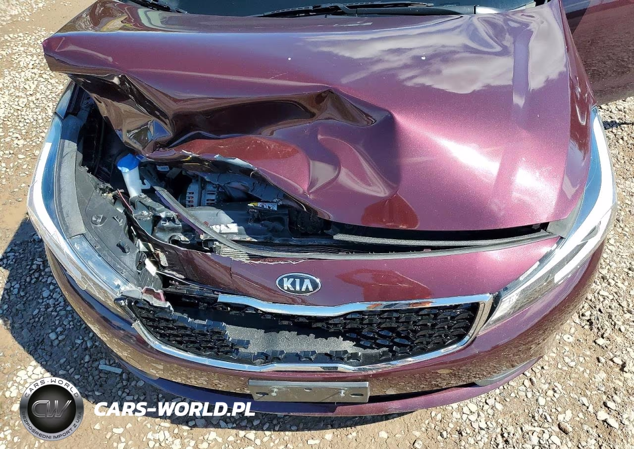2018 Kia Forte Lx VIN:3KPFL4A77JE263079 - 11