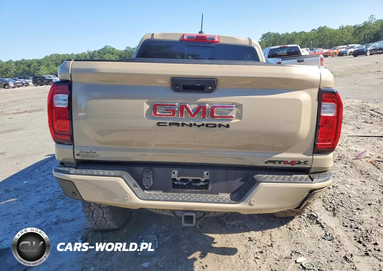2024 GMC Canyon At4X VIN:1GTP6EEK3R1129197 - 6