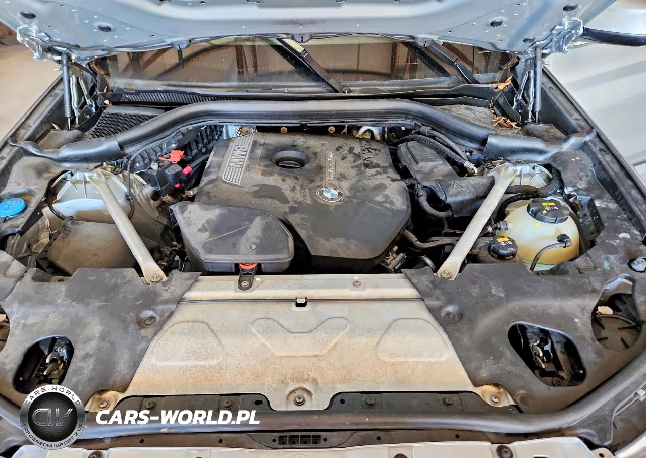 2019 BMW X3 xDrive30I VIN:5UXTR9C53KLD99066 - 12