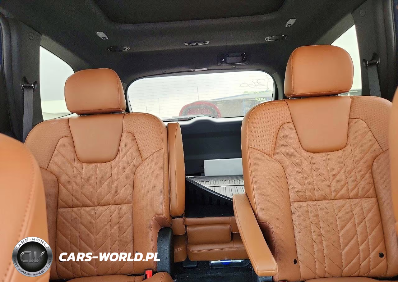 2025 Kia Telluride Sx X-Line VIN:5XYP5DGC6SG726109 - 10