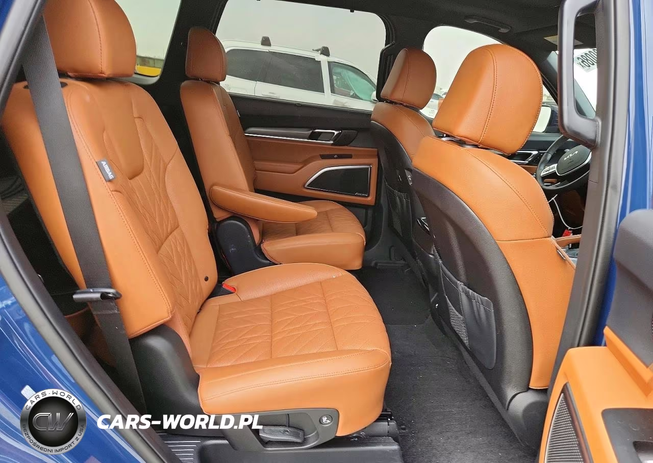 2025 Kia Telluride Sx X-Line VIN:5XYP5DGC6SG726109 - 11