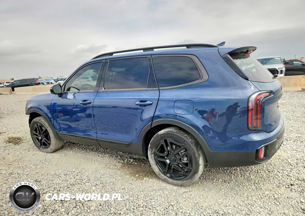 2025 Kia Telluride Sx X-Line VIN:5XYP5DGC6SG726109 - 2