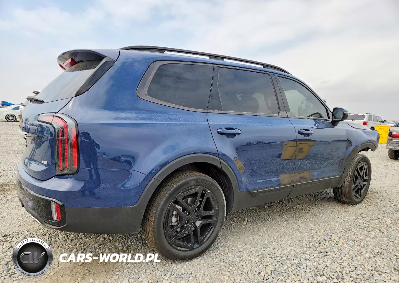 2025 Kia Telluride Sx X-Line VIN:5XYP5DGC6SG726109 - 3