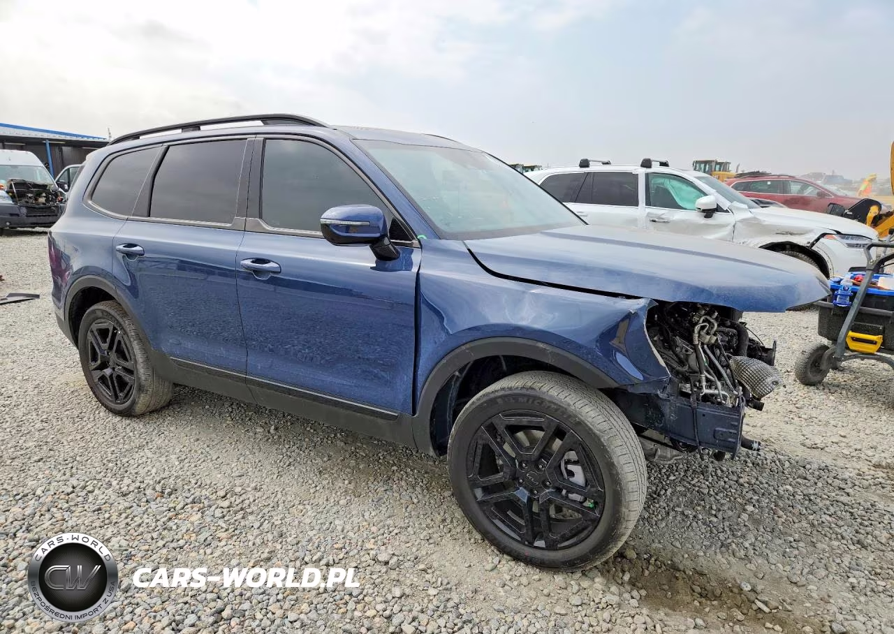 2025 Kia Telluride Sx X-Line VIN:5XYP5DGC6SG726109 - 4