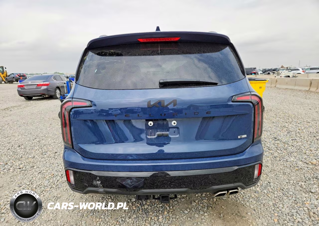 2025 Kia Telluride Sx X-Line VIN:5XYP5DGC6SG726109 - 6
