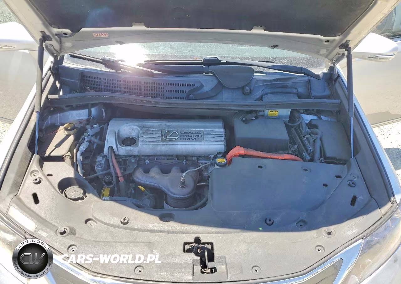 2010 Lexus Hs 250H VIN:JTHBB1BA1A2025279 - 11