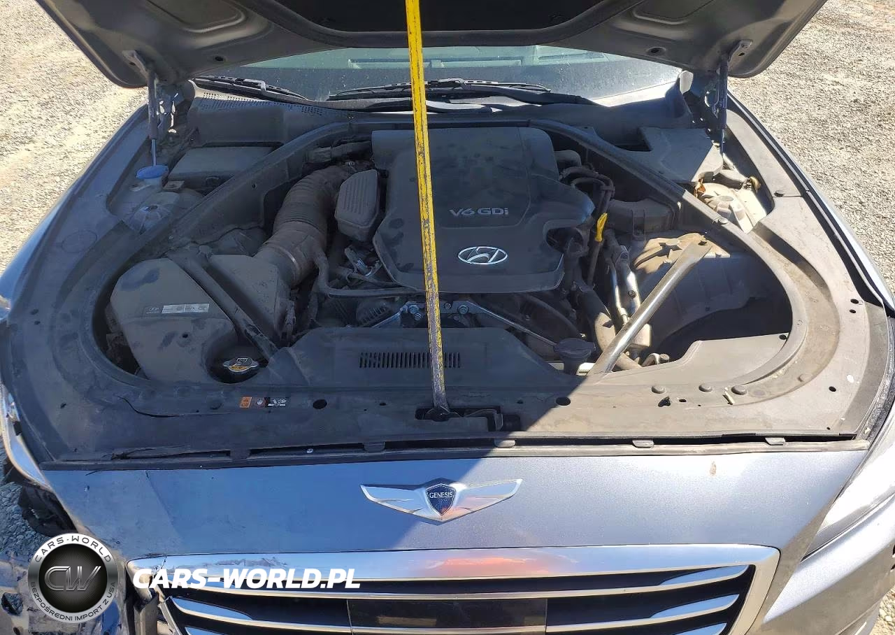 2015 Hyundai Genesis 3.8L VIN:KMHGN4JE2FU080481 - 11