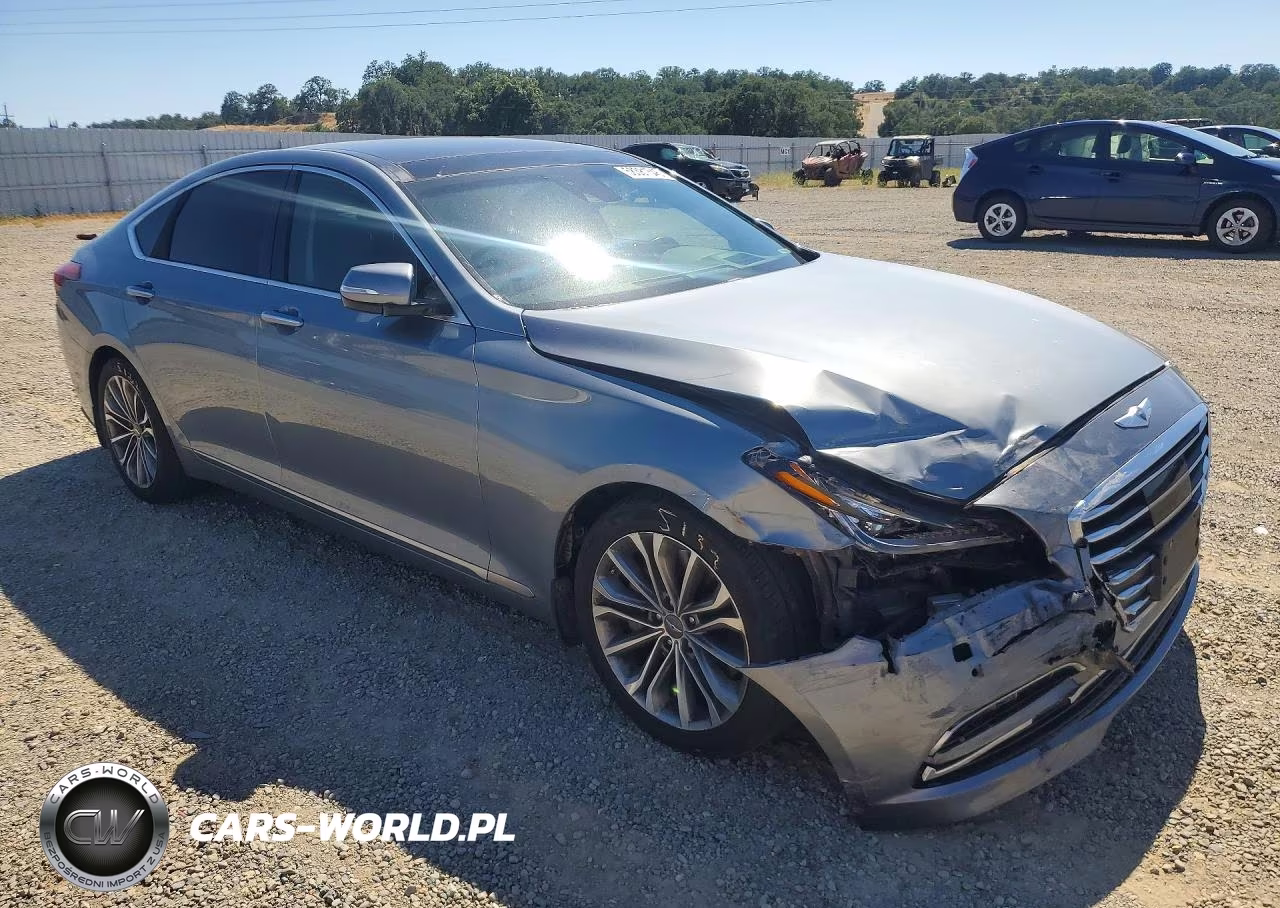 2015 Hyundai Genesis 3.8L VIN:KMHGN4JE2FU080481 - 4